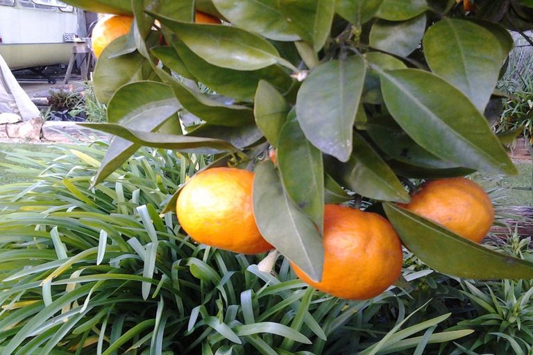 Photo of property in 27a Fearon Street, Motueka, 7120