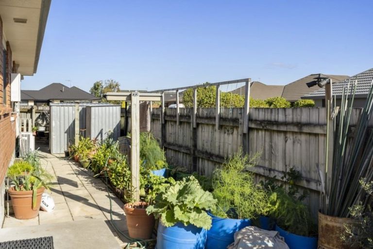 Photo of property in 17 Bouvardia Avenue, Milson, Palmerston North, 4414