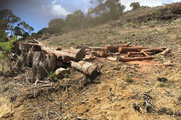 Photo of property in 8 Matariki Place, Karikari Peninsula, 0483