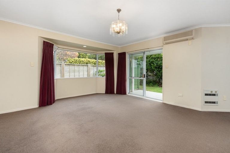 Photo of property in 14b Fourth Avenue, Tauranga, 3110