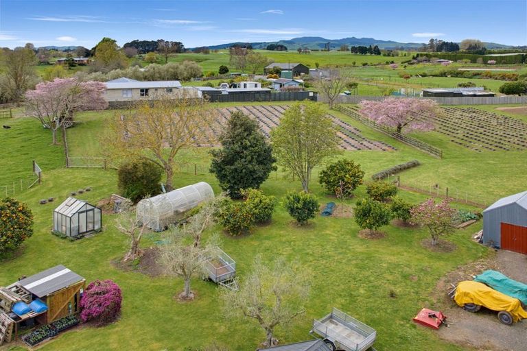 Photo of property in 169 Brotherhood Road, Kihikihi, Te Awamutu, 3875