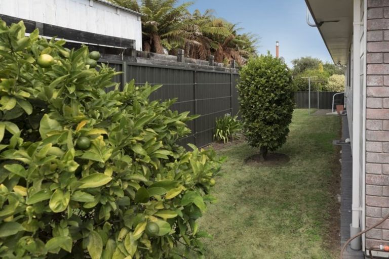 Photo of property in 3/125 Tamamutu Street, Taupo, 3330
