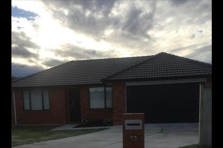 Photo of property in 12 Balmore Crescent, Pokeno, 2402