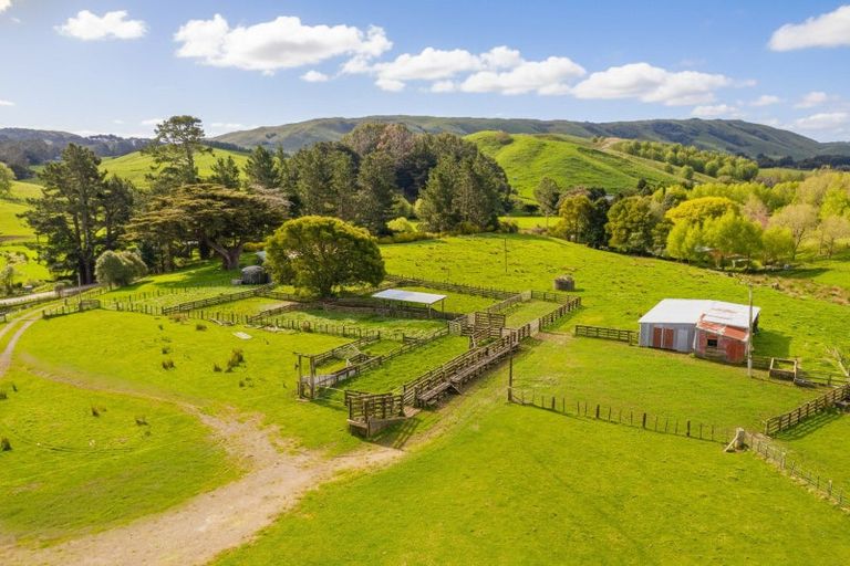 Photo of property in 390 North Road, North East Valley, Dunedin, 9010