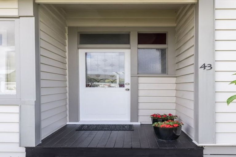 Photo of property in 43 Knowles Street, Terrace End, Palmerston North, 4410