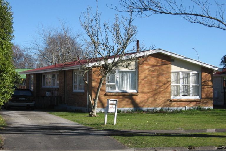 Photo of property in 13 Ascot Road, Chartwell, Hamilton, 3210