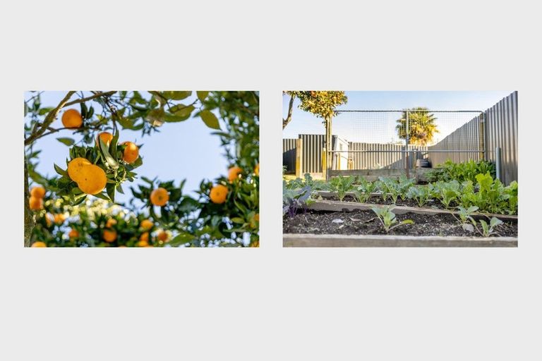 Photo of property in 49 Rawhiti Street, Greerton, Tauranga, 3112