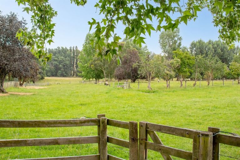 Photo of property in 1785 Martinborough Masterton Road, Longbush, Masterton, 5884