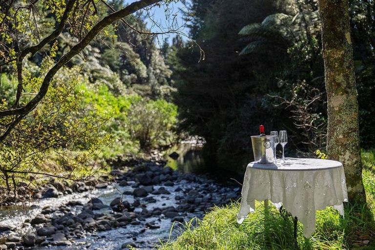 Photo of property in 202b Thompsons Track, Aongatete, 3178