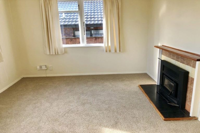 Photo of property in 47 Winchester Street, Levin, 5510