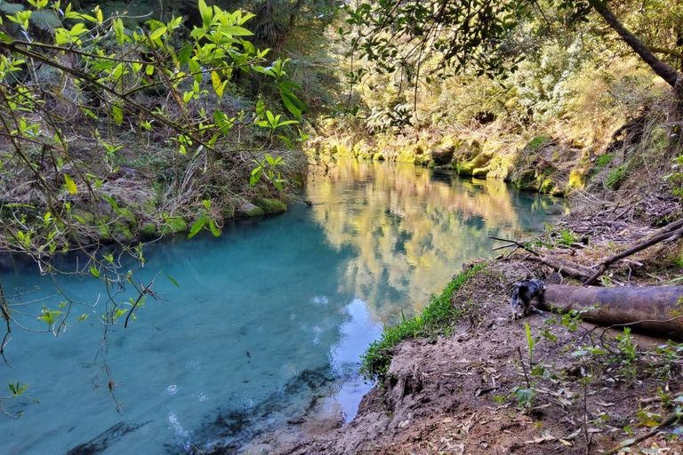 Photo of property in 328 Maungarangi Road, Paengaroa, Te Puke, 3189