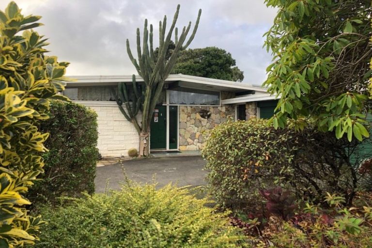 Photo of property in 16 Saxton Street, Levin, 5510