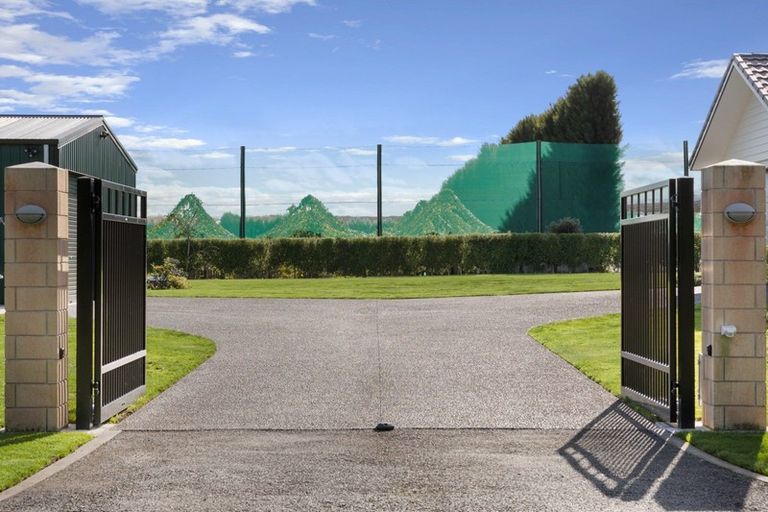 Photo of property in 14 Jacks Lane, Oropi, Tauranga, 3173