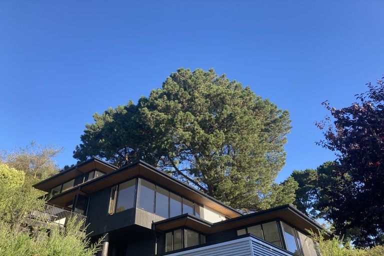 Photo of property in 12 Erewhon Terrace, Hillsborough, Christchurch, 8022