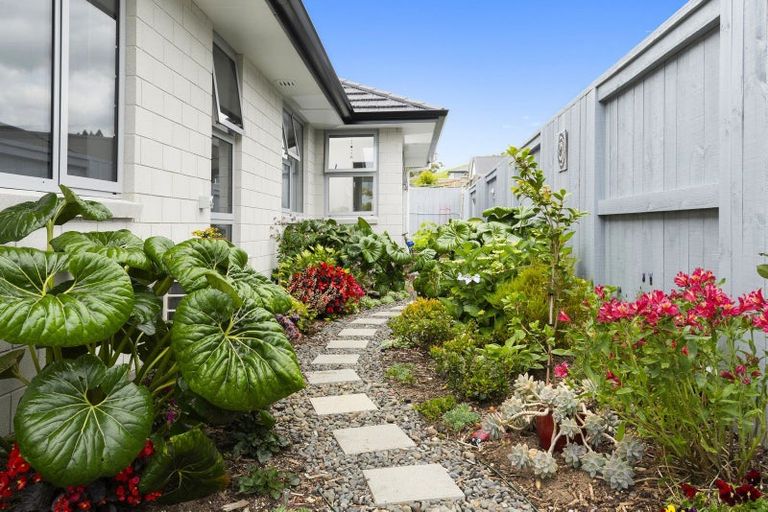 Photo of property in 11 Hass Drive, Ohauiti, Tauranga, 3112