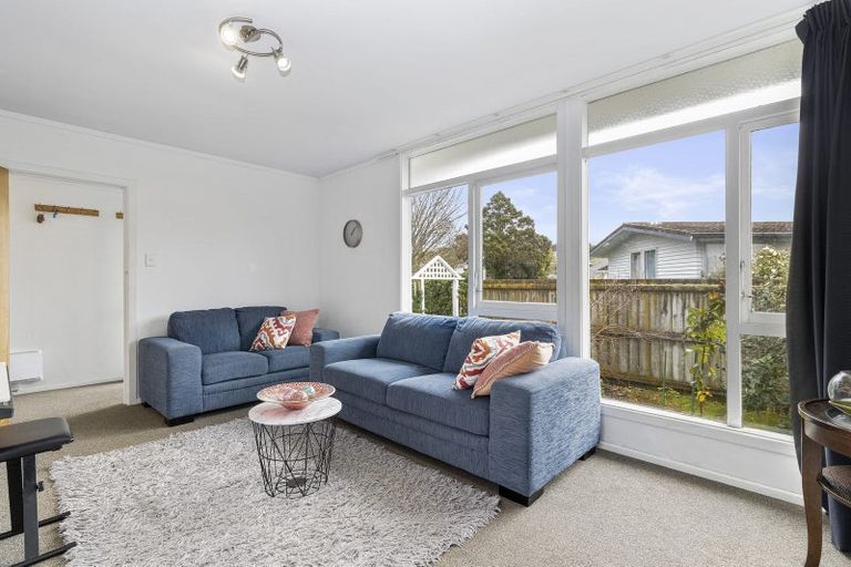 Photo of property in 57 Mansel Avenue, Hillcrest, Hamilton, 3216