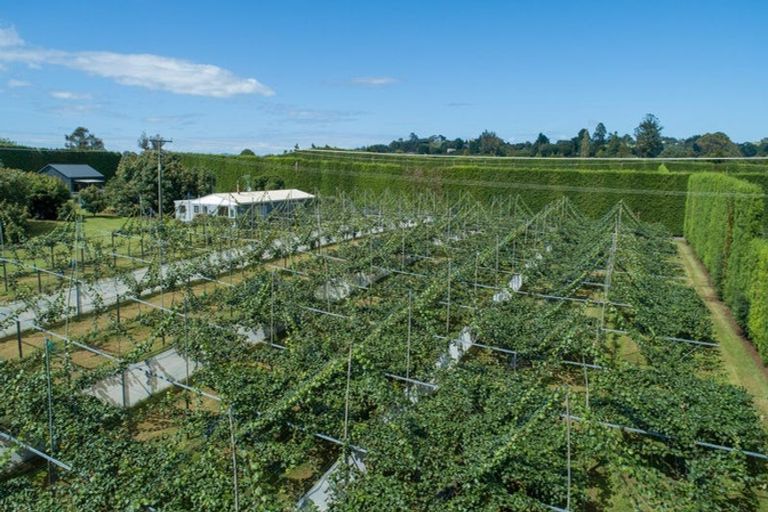 Photo of property in 154b Wairoa Road, Minden, Tauranga, 3171