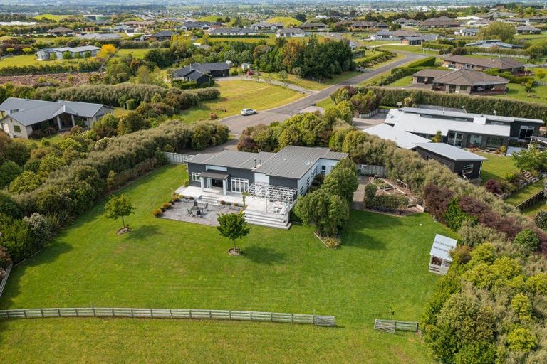 Photo of property in 15 Sika Avenue, Feilding, 4775