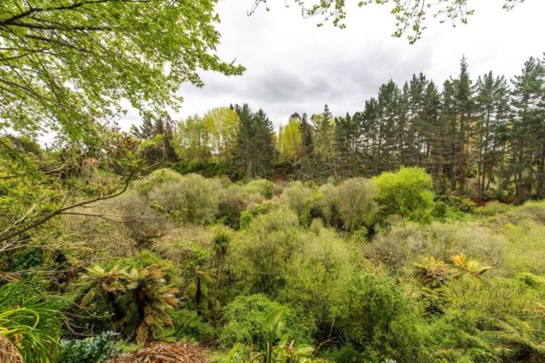 Photo of property in 140a Woodcock Road, Tamahere, Hamilton, 3283