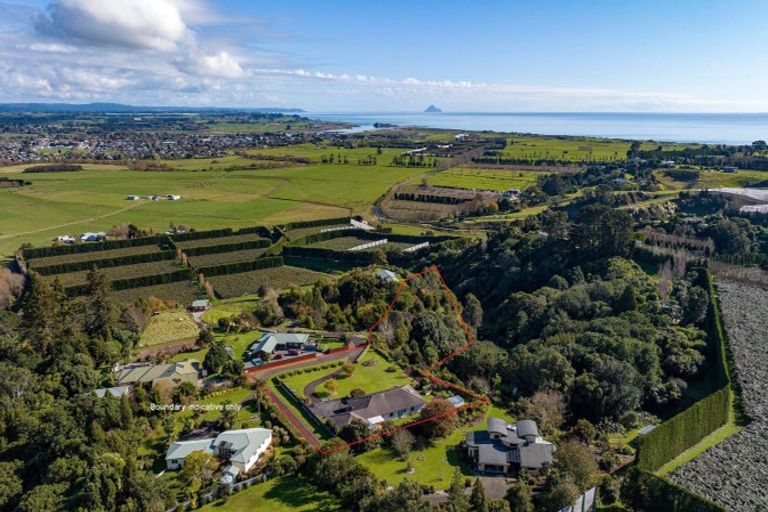 Photo of property in 155c Gow Road, Tirohanga, Opotiki, 3197