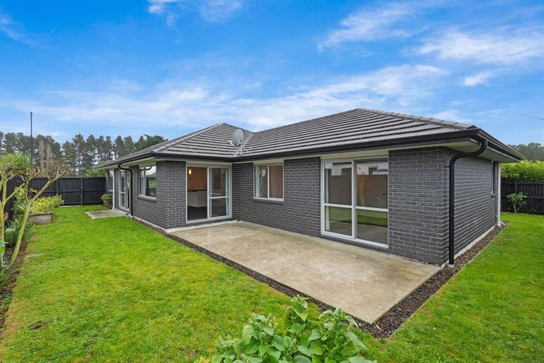 Photo of property in 12 Dunlops Crescent, Marshland, Christchurch, 8083