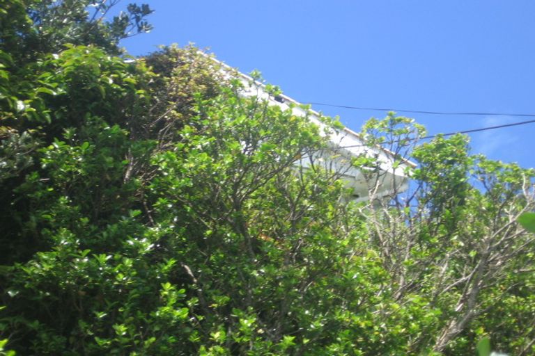 Photo of property in 49 Fairview Crescent, Kelburn, Wellington, 6012