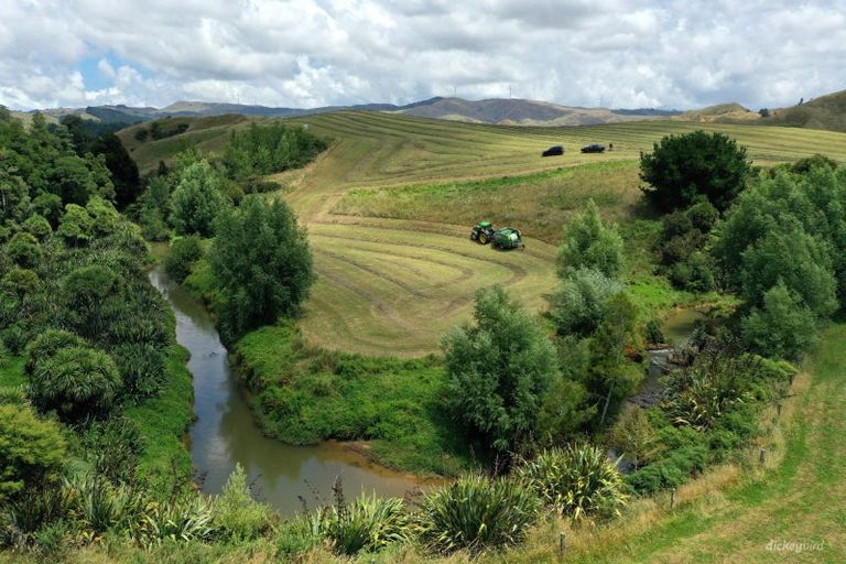 Photo of property in 211 Waitetuna Valley Road, Waitetuna, Raglan, 3295