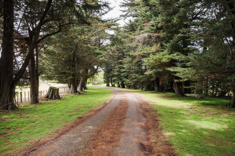 Photo of property in 852 Penny Road, Sanson, Palmerston North, 4479