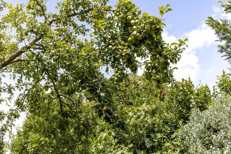 Photo of property in 327 Awai Road, Tarurutangi, New Plymouth, 4372