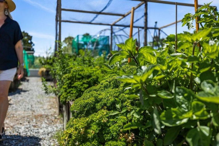 Photo of property in 96 Eaves Bush Parade, Orewa, 0931