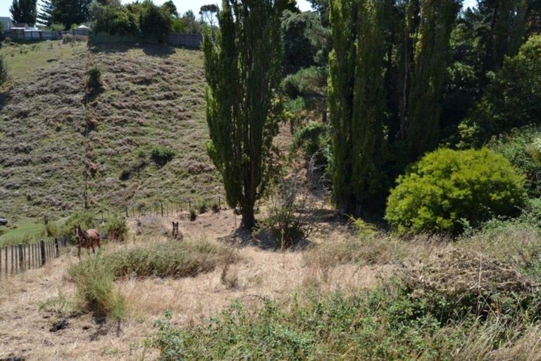 Photo of property in 36 Burtts Road, Durie Hill, Whanganui, 4500