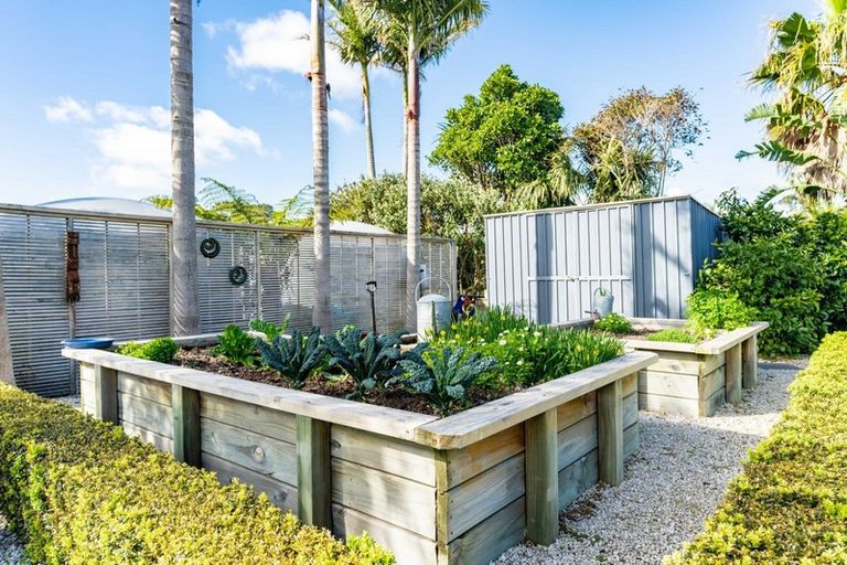 Photo of property in 6 Ti Tree Place, Mangawhai Heads, Mangawhai, 0505