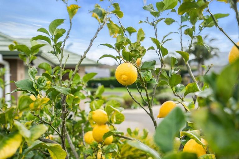 Photo of property in 10 Heritage Way, Maunu, Whangarei, 0110