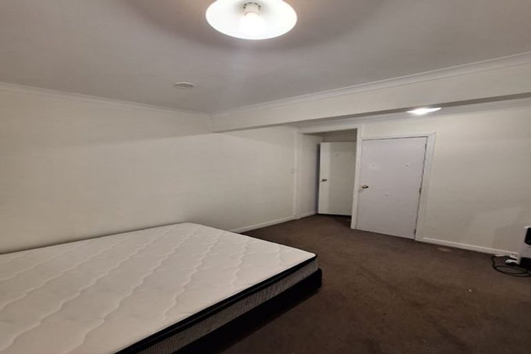 Photo of property in 35 Alexander Street, Kingsland, Auckland, 1021