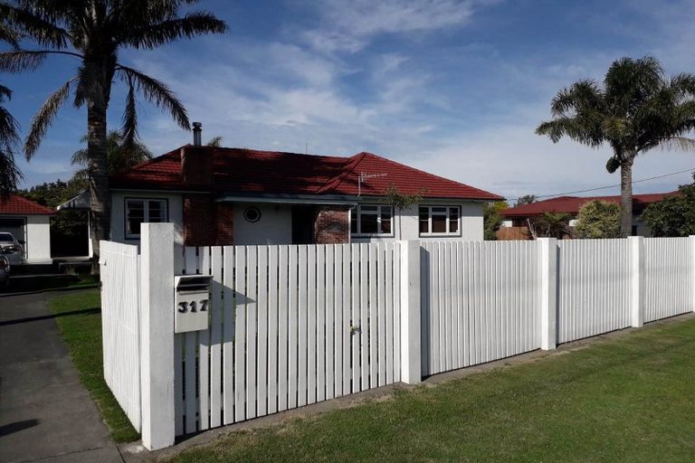 Photo of property in 317 Ikanui Road, Frimley, Hastings, 4120