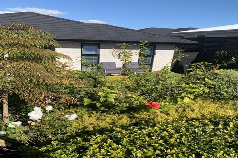 Photo of property in 4 Mary Place, Pyes Pa, Tauranga, 3112