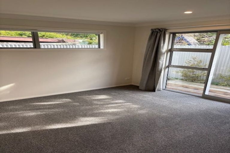 Photo of property in 115a Limbrick Street, Terrace End, Palmerston North, 4410