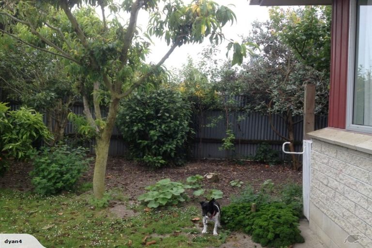 Photo of property in 6 Sutton Avenue, Clive, 4102