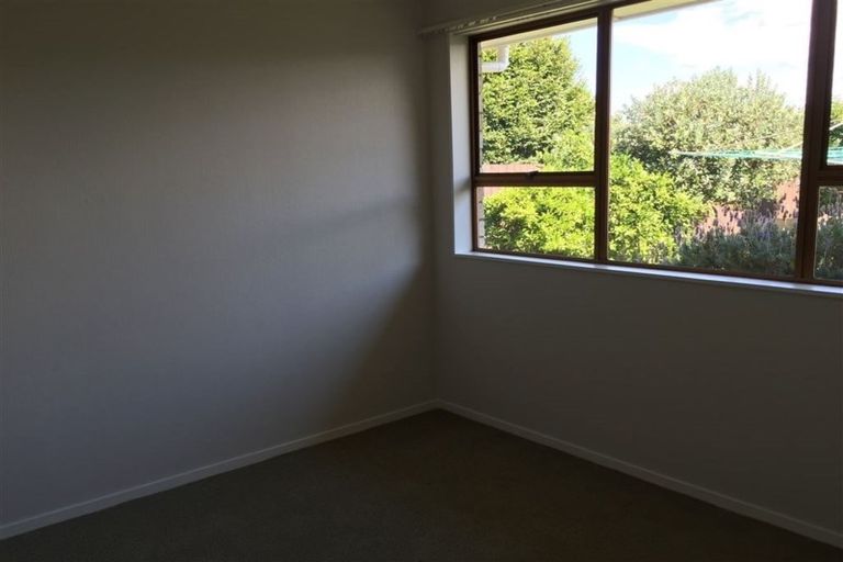 Photo of property in 52a Third Avenue, Tauranga, 3110