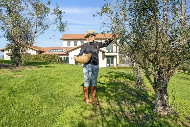 Photo of property in 207 Horton Road, Tasman, Upper Moutere, 7173