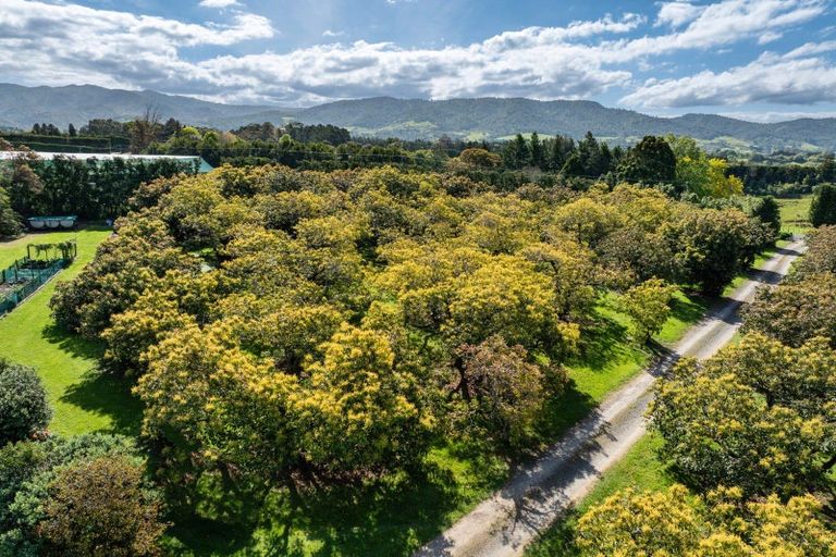 Photo of property in 85 Wharawhara Road, Tahawai, Katikati, 3178