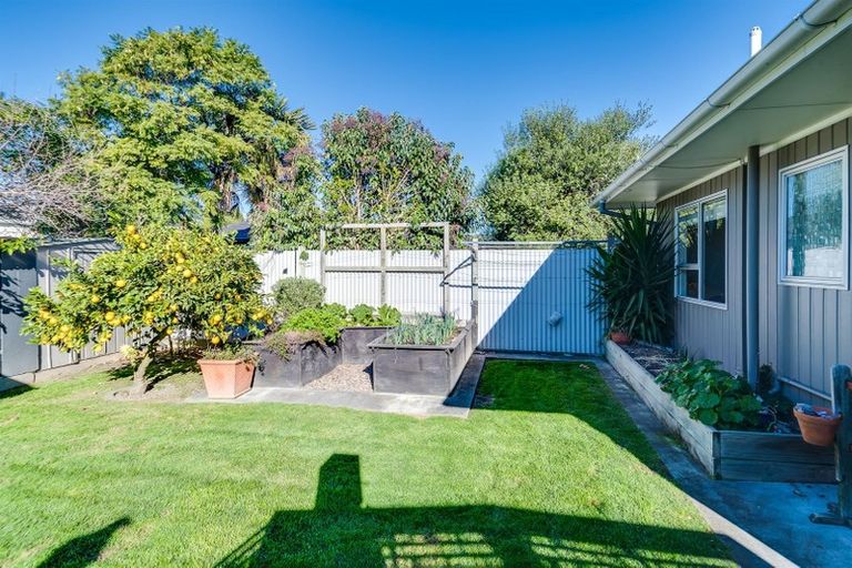 Photo of property in 1/4 Mckeefry Avenue, Greenmeadows, Napier, 4112