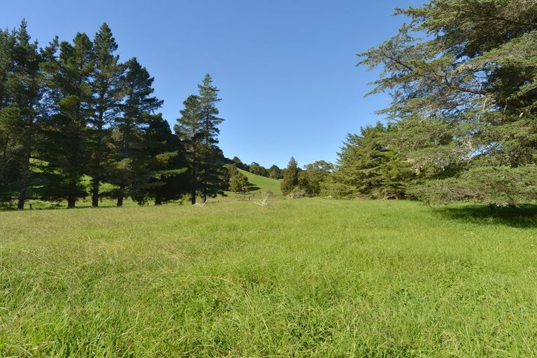 Photo of property in 127 Mcbreen Road, Hikurangi, 0181