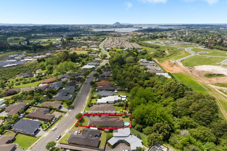 Photo of property in 117 Hollister Lane, Ohauiti, Tauranga, 3112