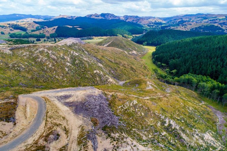 Photo of property in 3525 Masterton Castlepoint Road, Mangapakeha, Masterton, 5889