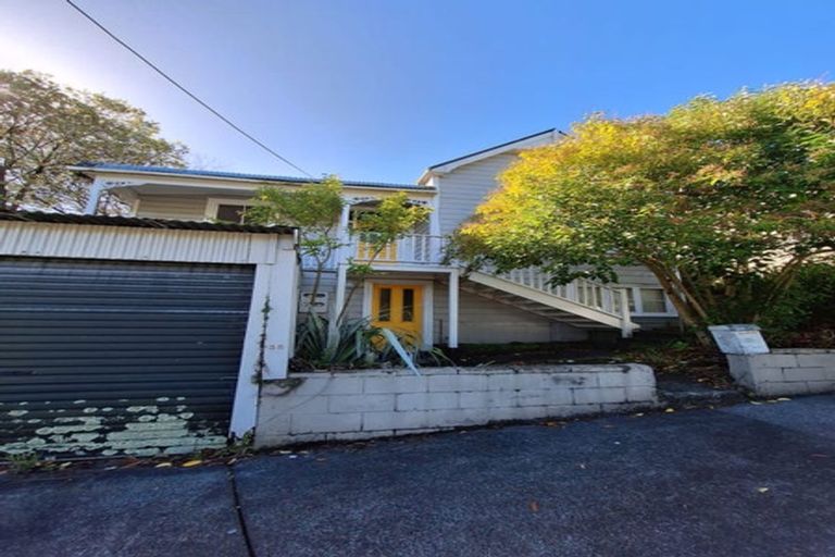 Photo of property in 35 Alexander Street, Kingsland, Auckland, 1021