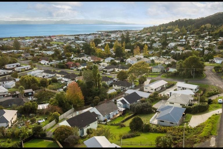 Photo of property in 107 Danby Street, Thames, 3500