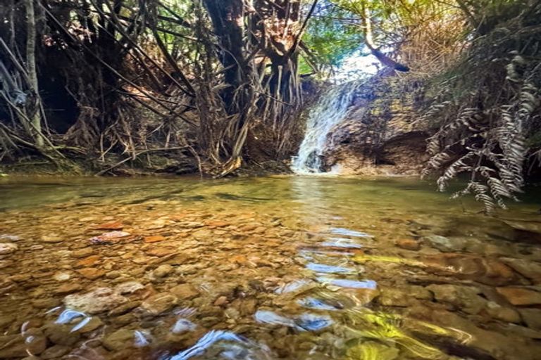 Photo of property in 102 Kennedy Road, Waikino, Waihi, 3682