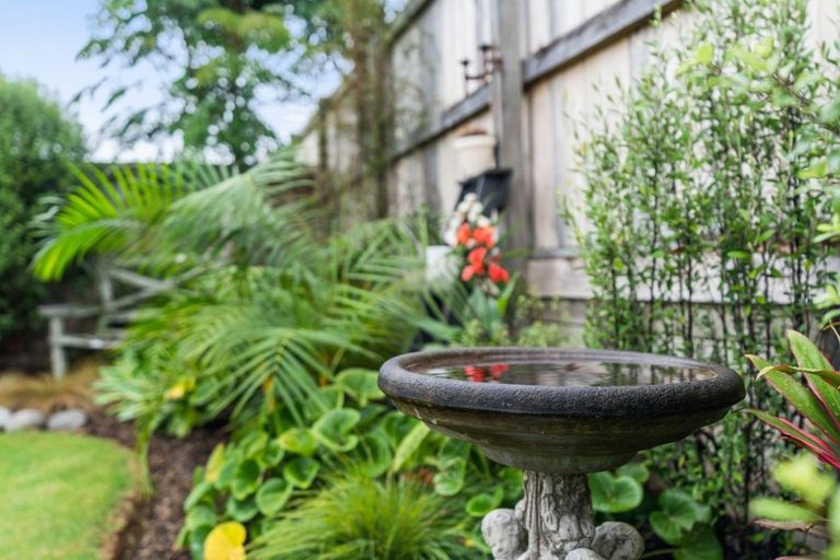 Photo of property in 56 Bush Haven Drive, Te Kamo, Whangarei, 0112