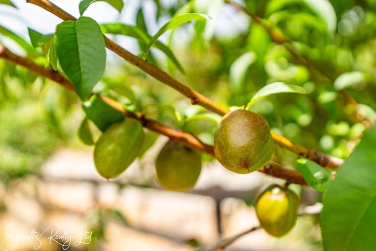 Photo of property in 43 Gorge Road, Maungaturoto, 0520